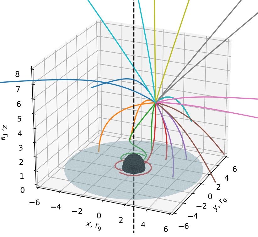 Depiction of the innermost region near a black hole with a few photon trajectories emitted by a point source offset by a few gravitational radii of the black hole rotational axis. Note that the existing lamp-post model assumes the location of the source on the rotational axis. Credit: Aleksei Nekrasov