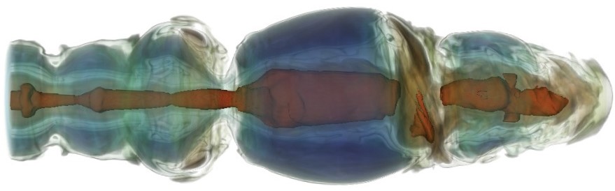 A volume rendering of the velocity field from a simulation of a relativistic jet. The forward moving jet (in red) is enveloped by the back-flowing material (in blue). Credit: Ravi Pratab Dubey